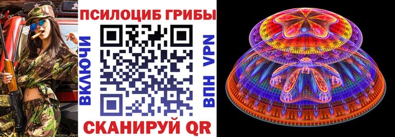 МЕГА ТОР продажа наркотиков Абинск Псилоцибиновые грибы прущие грибы